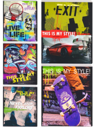 Тетрадь  48 листов В стиле урбан-2 Т48-3609