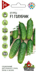 Огурец Голубчик F1 10шт. цветной пакет серия Удачные семена Гавриш