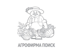 Салат листовой Русич 1г белый пакет Поиск