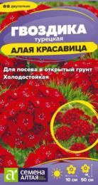 Гвоздика турецкая (бородатая) Алая красавица 0,1г цветной пакет Семена Алтая