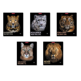 Тетрадь  48 листов ErichKrause Strong and Brave 54258