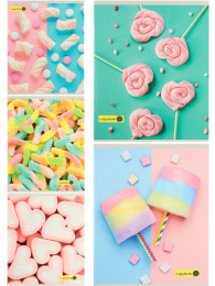 Тетрадь  48 листов Разнообразие сладостей 48-3242