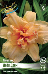 Лилейник Дабл Дрим 1шт. Colorline