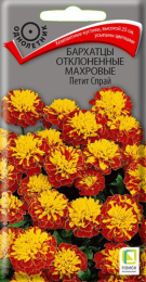 Бархатцы отклоненные (Тагетес) Петит спрай махровые 0,4г цветной пакет Поиск