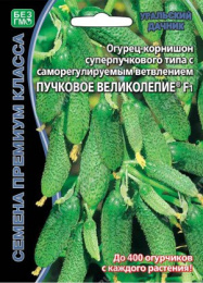 Огурец Пучковое великолепие F1 5шт. цветной пакет Уральский дачник