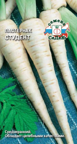 Пастернак Студент 1г цветной пакет Седек