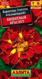 Бархатцы отклоненные (Тагетес) Вишневый браслет 0,3г цветной пакет Аэлита 572123