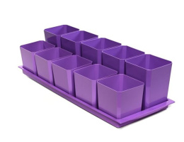 Набор для рассады пластиковый двухуровневый (5шт.х 500мл + 5шт.х 750мл), 460х180х120мм, фиолетовый* Чипполино 0342*