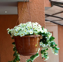 Кашпо подвесное пластиковое Глория с поддоном d-27,5см 6,0л терракотовый 5plast 5PL0556