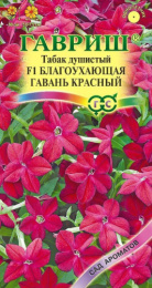 Табак душистый Благоухающая гавань красный F1 4шт. цветной пакет серия Сад ароматов Гавриш