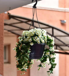 Кашпо подвесное пластиковое Глория с поддоном d-19см 2,0л антрацит 5plast 5PL0621