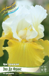 Ирис германский Эхо де Франс 1шт. Colorline