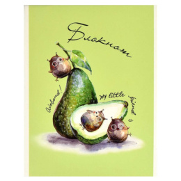 Блокнот А5  40 листов Авокадо, клетка, скоба 63057