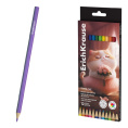 Карандаши цветные 12 цветов ErichKrause Prima Cat, пластиковые, шестигранные 65010