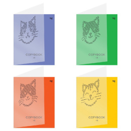 Тетрадь  48 листов BG Кошачьи тетради, пластиковая обложка Т5СК48_ПЛ 57634