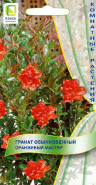Гранат Оранжевый мастер обыкновенный 5шт. цветной пакет Поиск