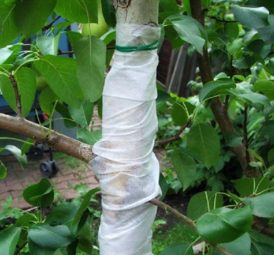 Бинт садовый 0,12х10м Агротекс