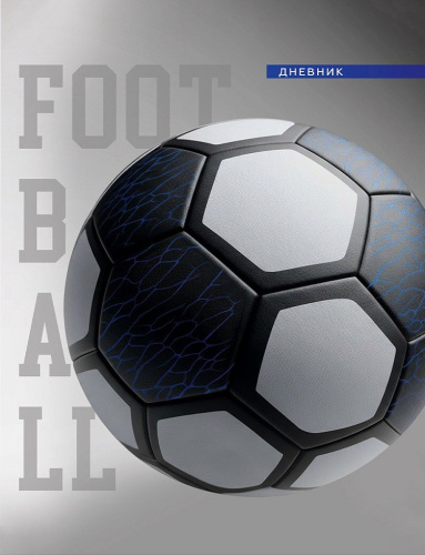 Дневник для старших классов твердая обложка Футбольный мяч Д48-9570