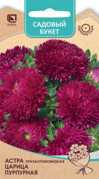 Астра Царица пурпурная хризантемовидная 0,1г цветной пакет серия Садовый букет Поиск
