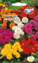 Георгина Амадеус, смесь цветов 0,15г цветной пакет Седек