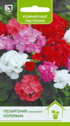 Пеларгония Колорама зональная 0,05г цветной пакет Поиск