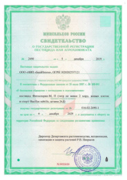 Фитоспорин-М Универсальный  10г порошок от грибных и бактериальных болезней БашИнком