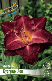 Лилейник Бургунди Лов 1шт. Colorline