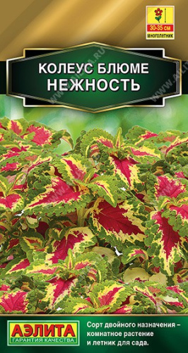 Колеус блюме Нежность  5шт. цветной пакет Аэлита