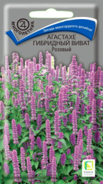 Агастахе Виват розовый гибридный 10шт. цветной пакет Поиск