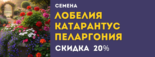 Семена цветов: лобелия, катарантус, пеларгония