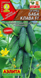 Огурец Баба Клава F1 10шт. цветной пакет Аэлита