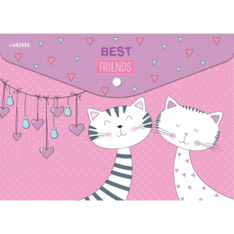 Папка с кнопкой А4 0.15 Devente Best Friends 3071875