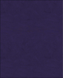 Тетрадь  48 листов бумвинил фиолетовый 11546