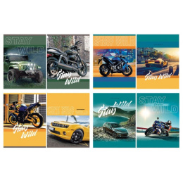 Тетрадь  96 листов BG Stay Wild, гребень Т5ГР96_2 9521