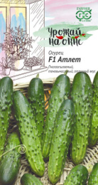 Огурец Атлет F1 10шт. цветной пакет серия Урожай на окне Гавриш