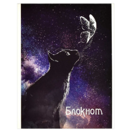 Блокнот А5  40 листов Мечтатель, клетка, скоба 63060