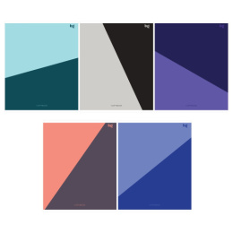 Тетрадь  48 листов линейка BG Medium Т5СК48 62715