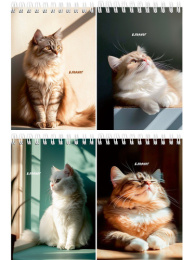 Блокнот А6  40 листов Солнечные котики, гребень Б40-7019