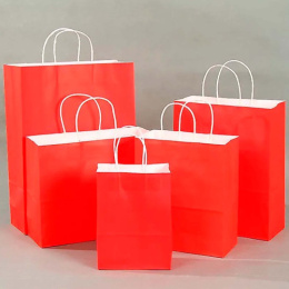 Пакет подарочный бумажный 21х27х11см Радужный Дом РД21478