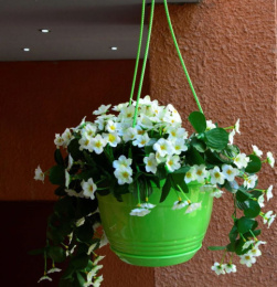 Кашпо подвесное пластиковое Глория с поддоном d-21см 3,3л зеленый 5plast 5PL0112