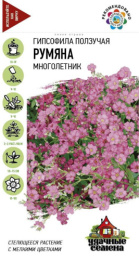 Гипсофила Румяна ползучая 0,05г цветной пакет серия Удачные семена Гавриш