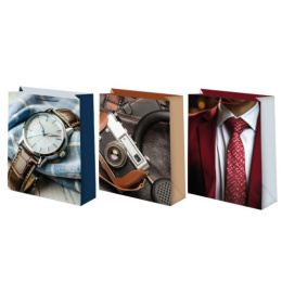 Пакет подарочный бумажный 14х20см Мужской микс Ч55802