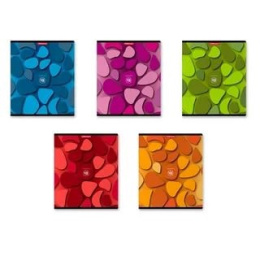 Тетрадь  48 листов ErichKrause Color stones 47520