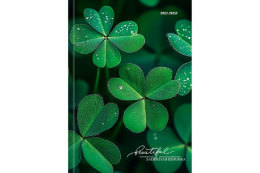 Блокнот А6  48 листов Счастливый клевер, книжный переплет 48-7098