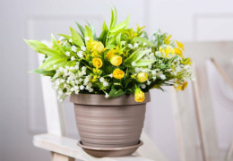 Горшок для цветов пластиковый Толедо с поддоном 17,4л d-36см h-27см фраппе 5plast 5PL0739