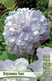 Клематис Вероника Чоис 2шт. Colorline