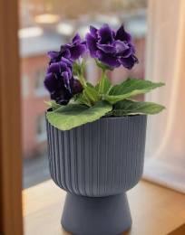 Горшок для цветов пластиковый Бекер со съемным поддоном 8,6л d-25см h-29,5см антрацит 5plast 5PL0787