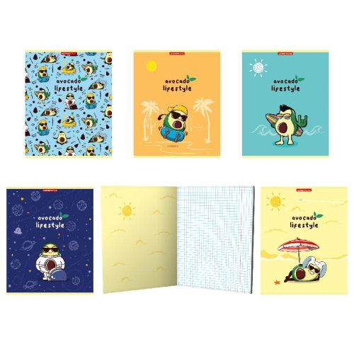 Тетрадь  48 листов Авожизь 13077/5