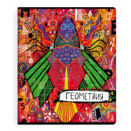 Тетрадь  48 листов П Геометрия Граффити 60475