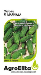 Огурец Маринда F1  5шт. цветной пакет Агроэлита